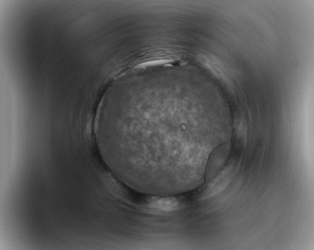 X0000095940185200801251117