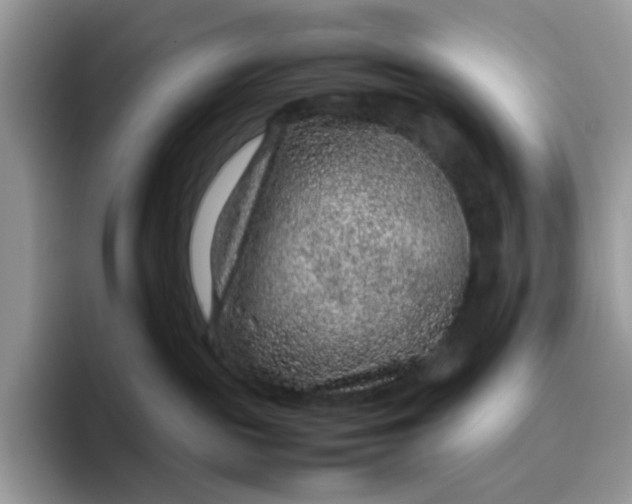 X0000095940189200801251117