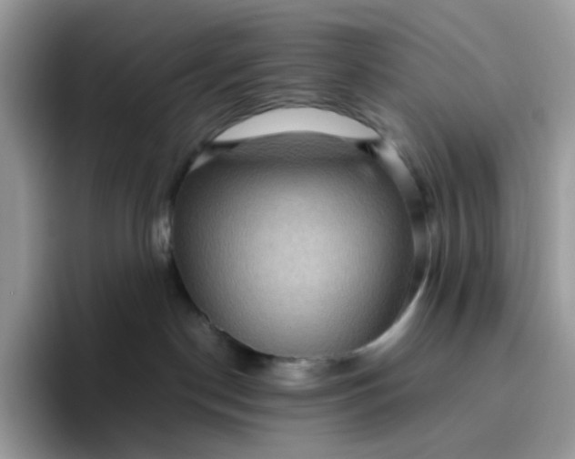 X0000095940190200801251117