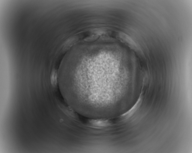 X0000095940191200801251117