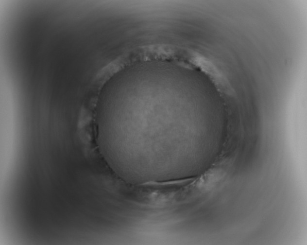 X0000095940192200801251117