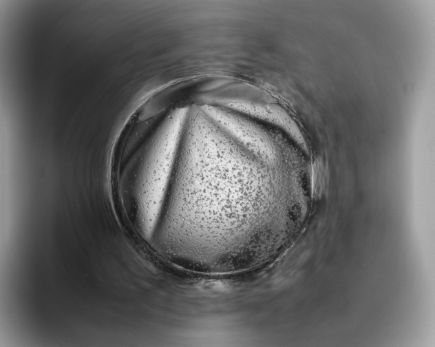 X0000095940195200801251117