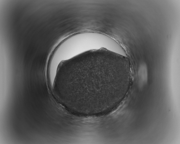 X0000095940196200801251117