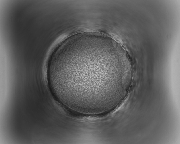 X0000095940197200801251117