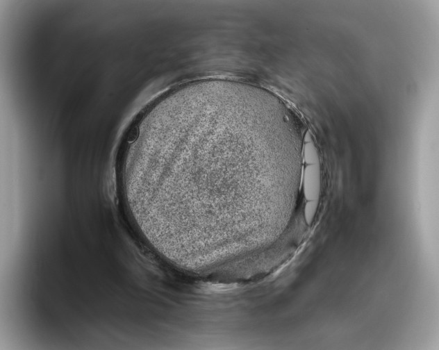 X0000095940198200801251117