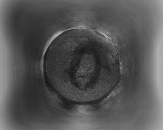 X0000095940200200801251117