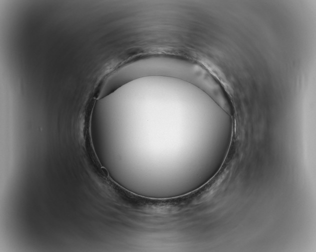 X0000095940201200801251117