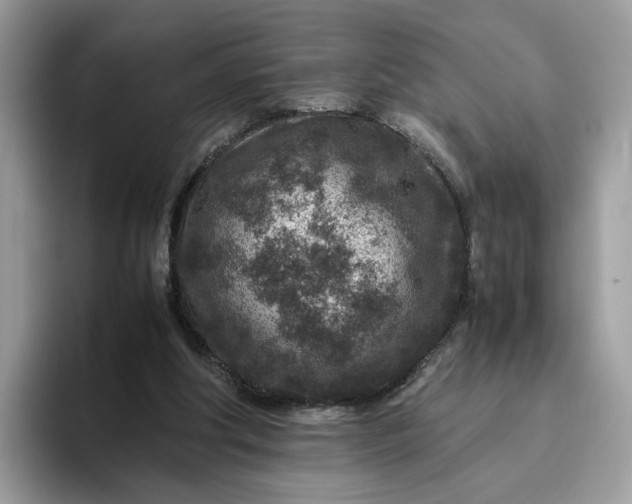 X0000095940202200801251117