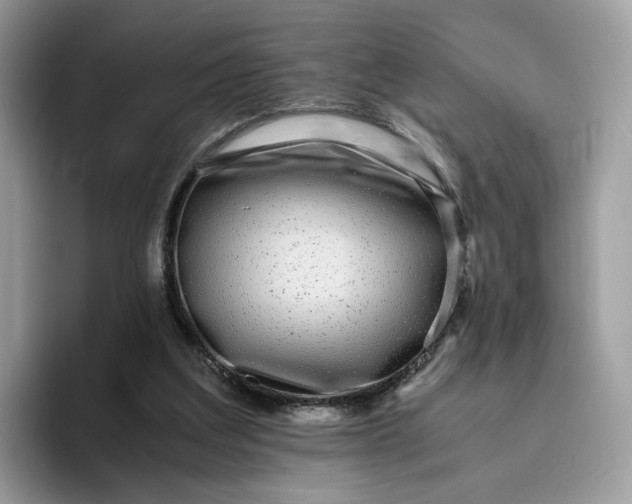 X0000095940203200801251116