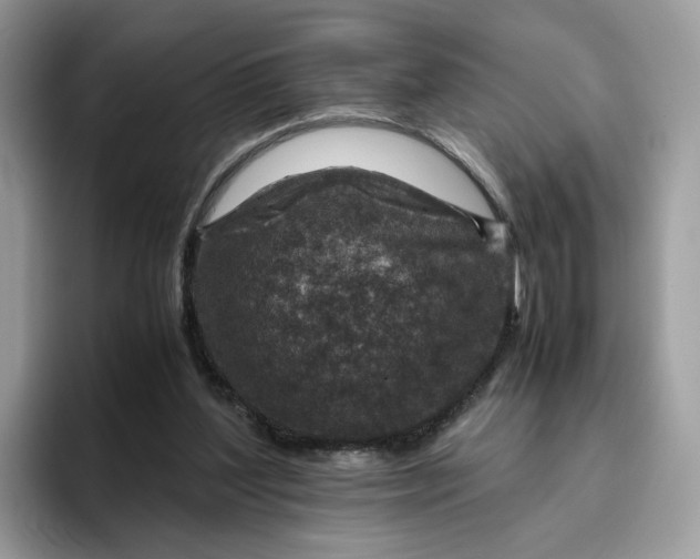 X0000095940204200801251116