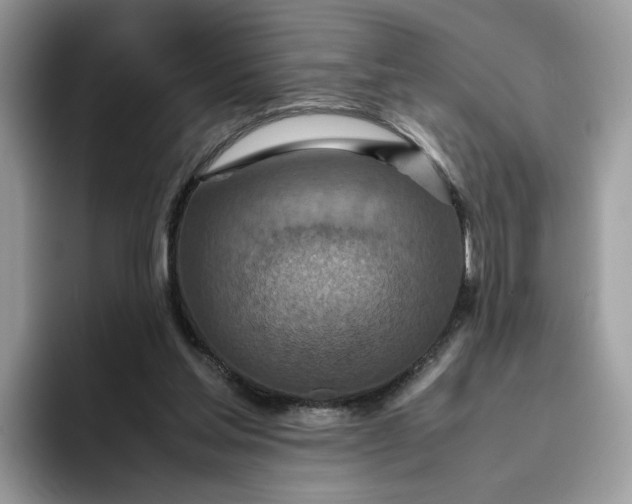 X0000095940205200801251116