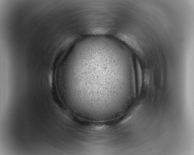 X0000095940206200801251116