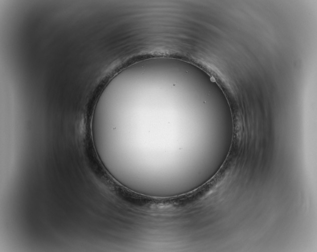 X0000095940208200801251116