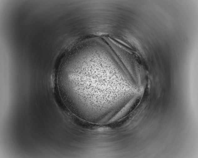 X0000095940210200801251116