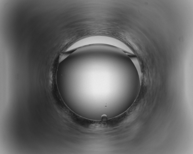 X0000095940211200801251116