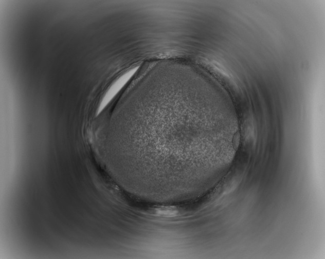 X0000095940214200801251116