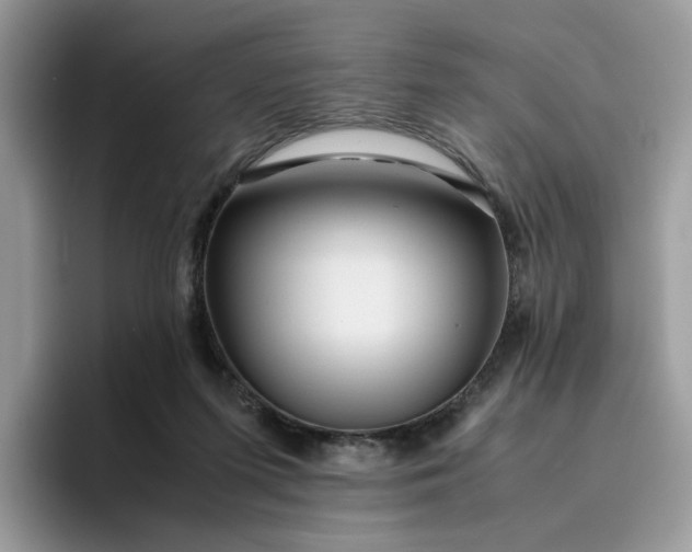 X0000095940215200801251116