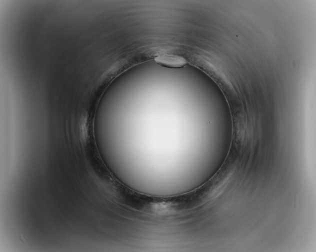 X0000095940216200801251116