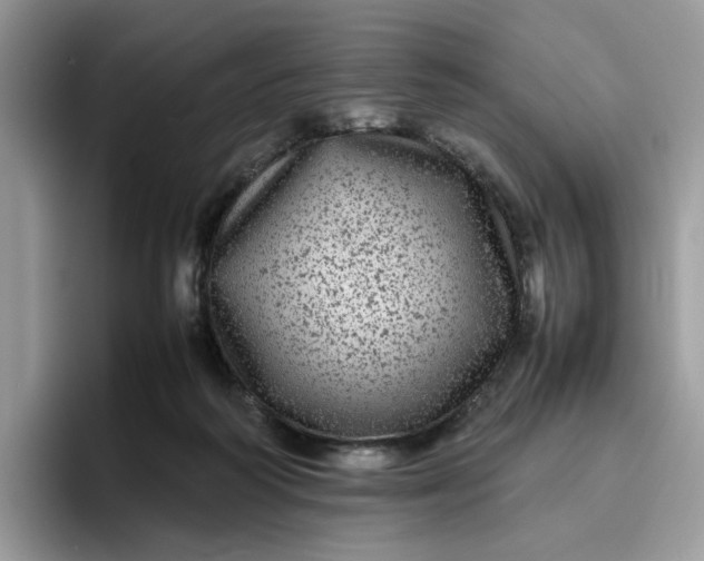 X0000095940218200801251116