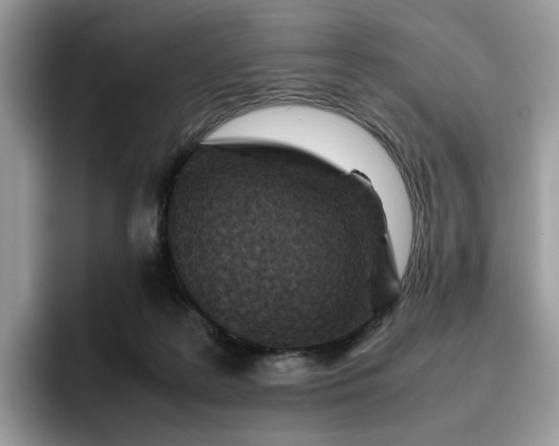 X0000095940219200801251116