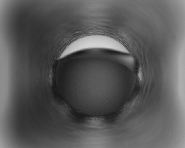 X0000095940223200801251116