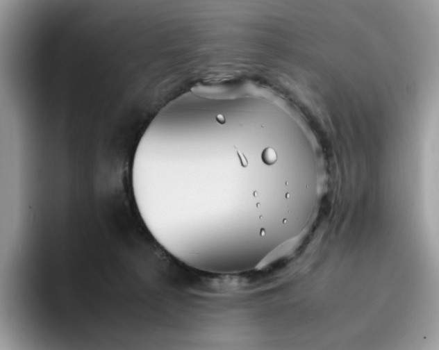 X0000095940225200801251116