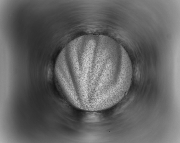 X0000095940226200801251116