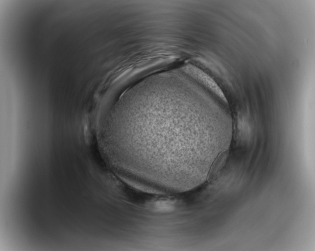 X0000095940228200801251116