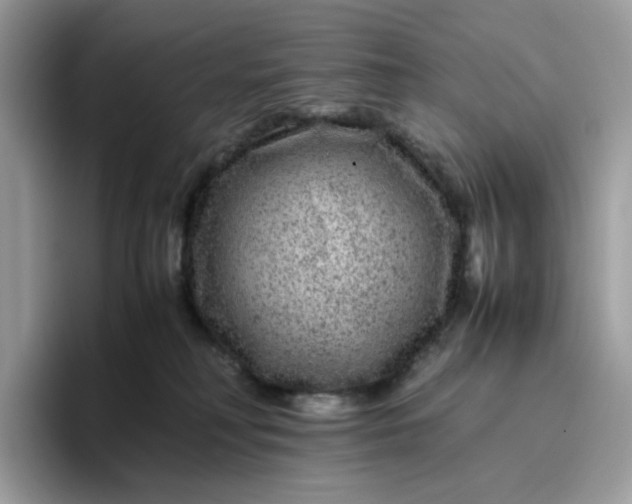 X0000095940230200801251116