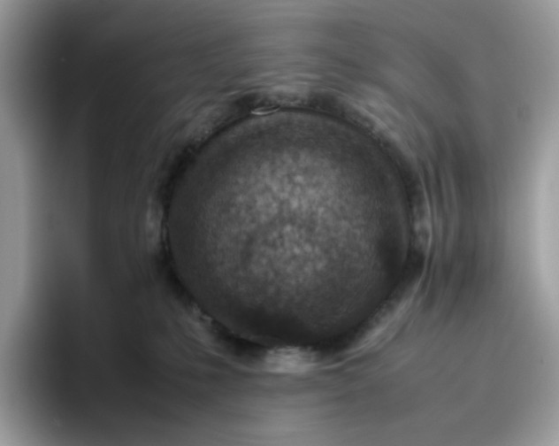 X0000095940231200801251116