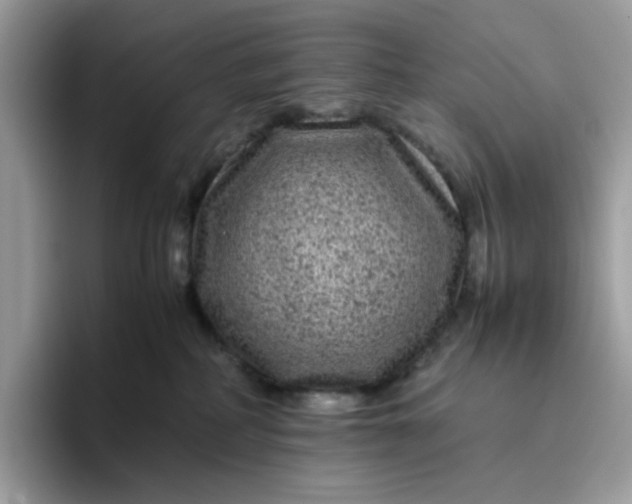 X0000095940234200801251116