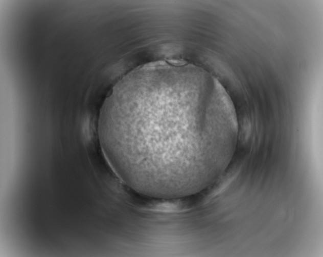 X0000095940236200801251116