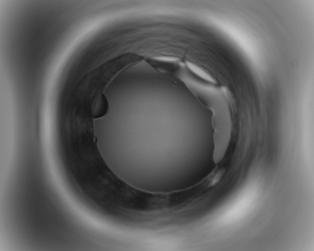 X0000095940239200801251116