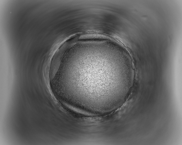 X0000095940241200801251115