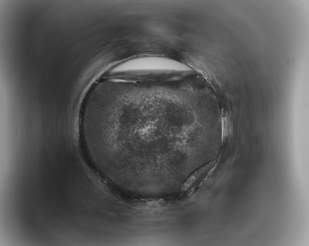 X0000095940243200801251115