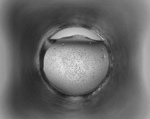 X0000095940245200801251115