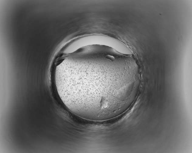 X0000095940246200801251115