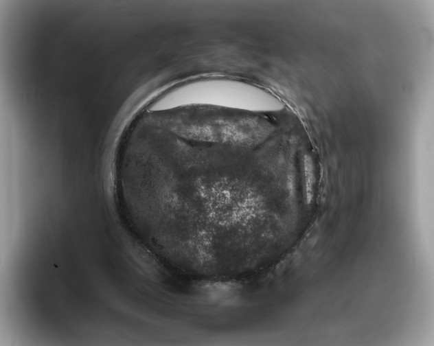 X0000095940247200801251115