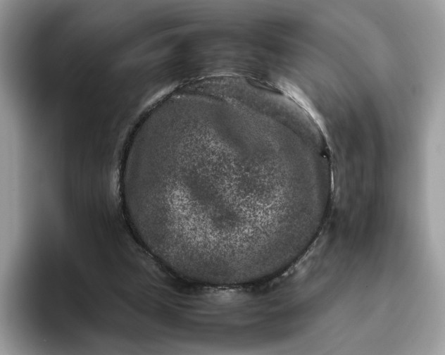 X0000095940249200801251115