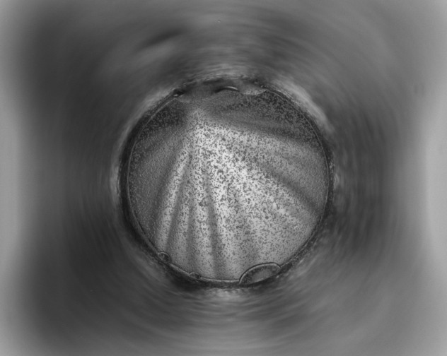 X0000095940250200801251116