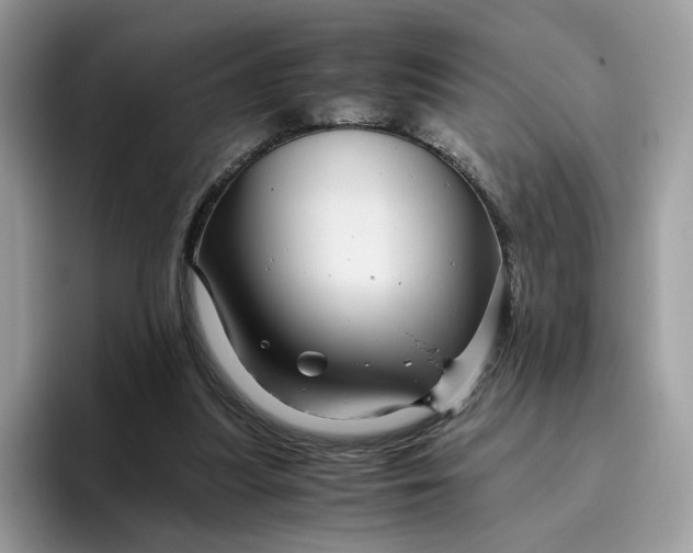 X0000095940251200801251116