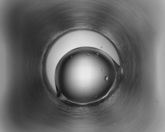 X0000095940252200801251116