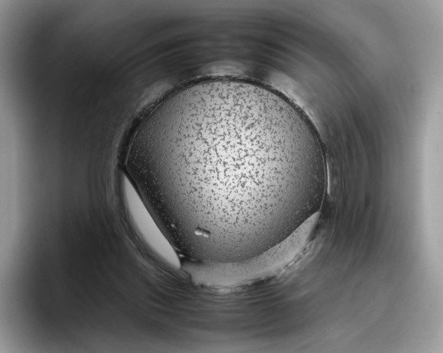 X0000095940253200801251116