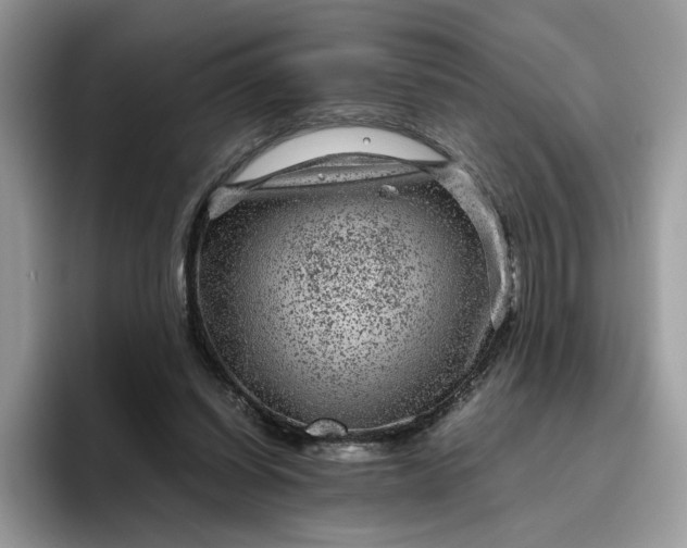 X0000095940254200801251116