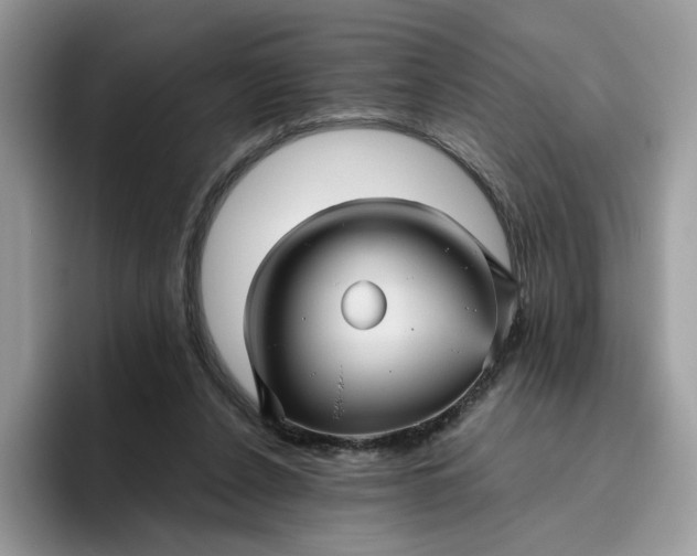 X0000095940256200801251116