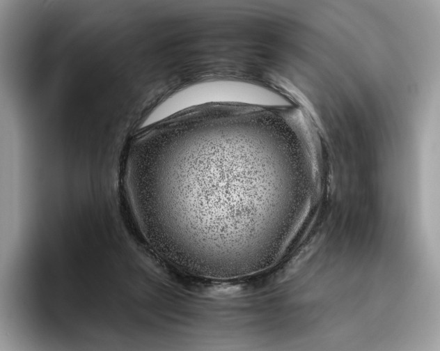 X0000095940257200801251116