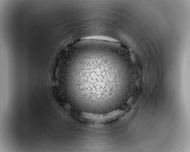 X0000095940258200801251116