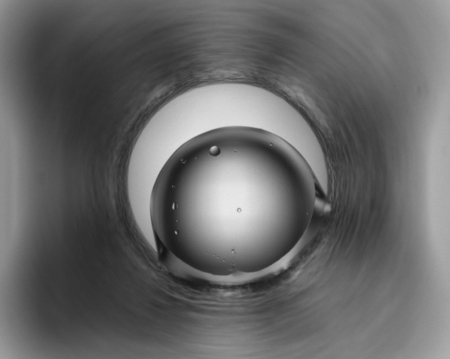 X0000095940260200801251116