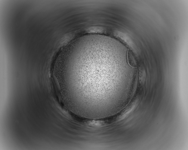 X0000095940261200801251116