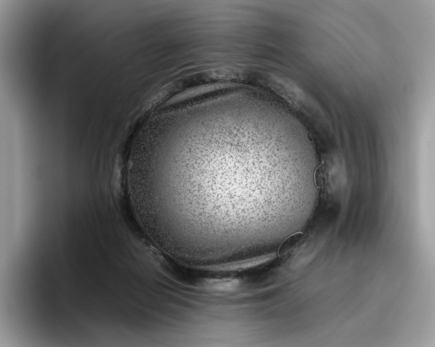 X0000095940266200801251116